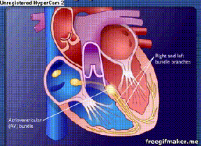 freegifmaker.me_2aUzK